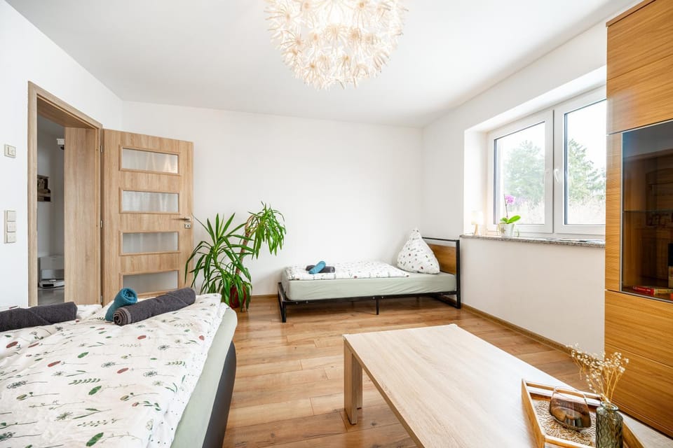 Bed, Living room, Guests, Guests, group of guests, group of guests