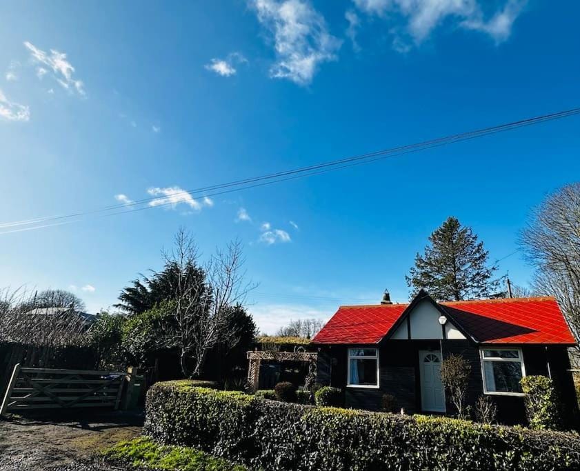 Sunnybank cottage House in Alnwick