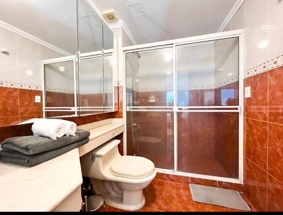 Shower, Toilet, Bathroom, towels