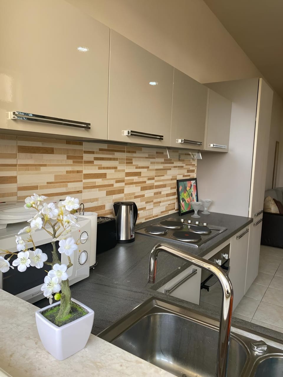 Coffee/tea facilities, minibar, pet friendly, kitchen