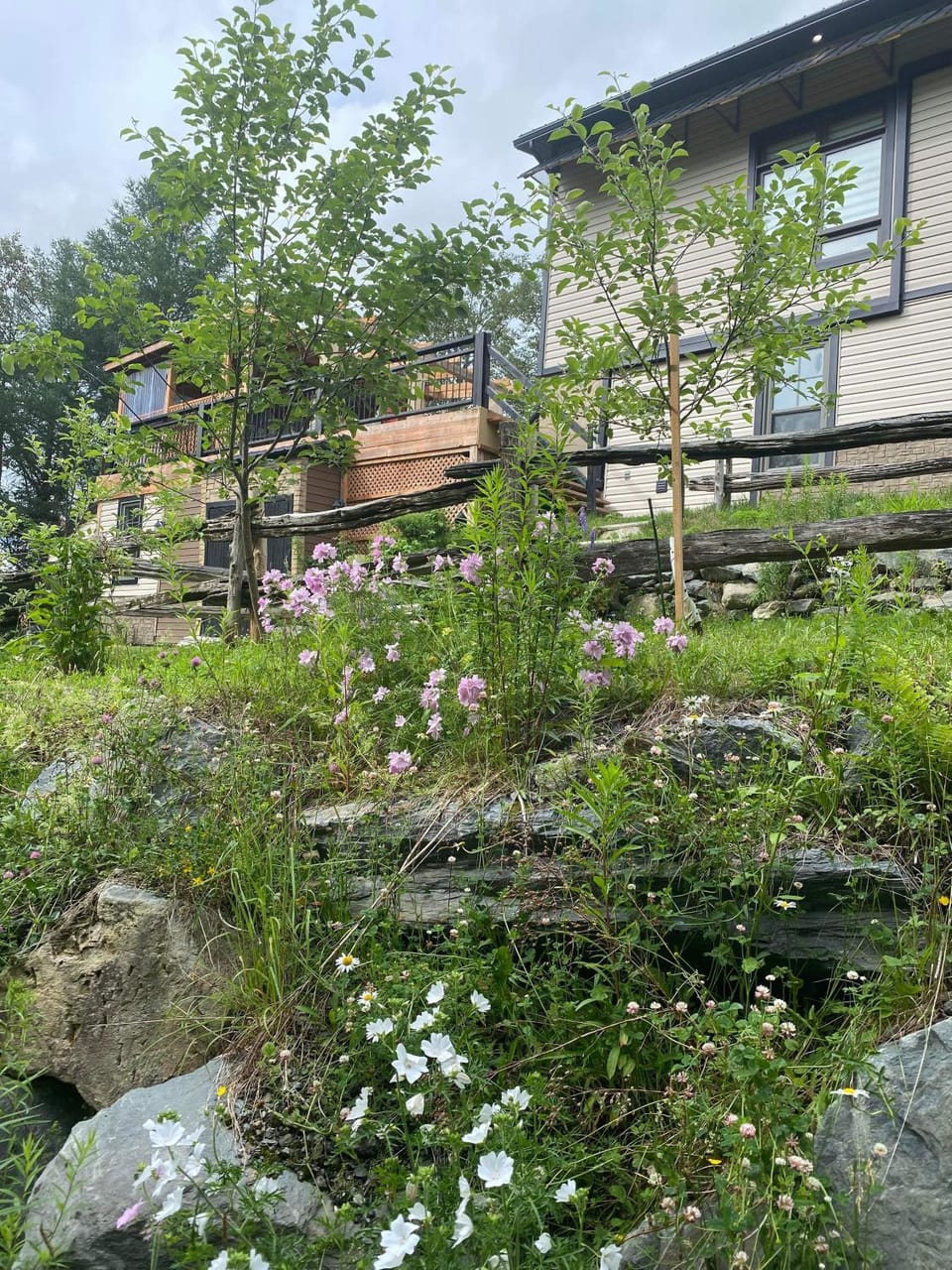 Natural landscape, Garden, Garden view