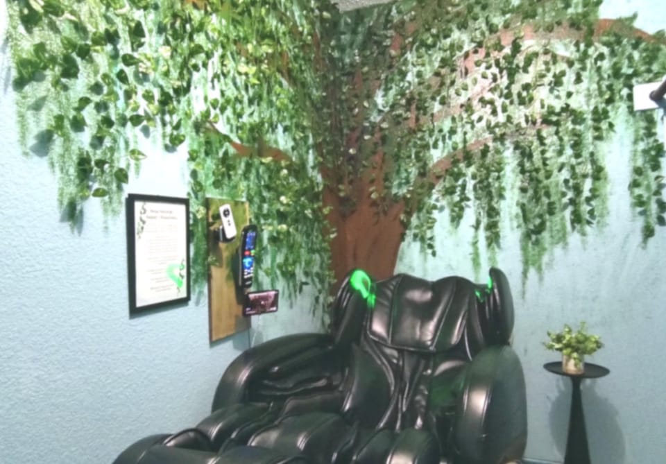 Massage, View (from property/room), Spa and wellness centre/facilities, Decorative detail
