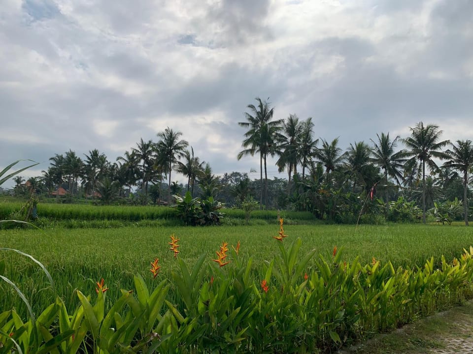 Landmark view
