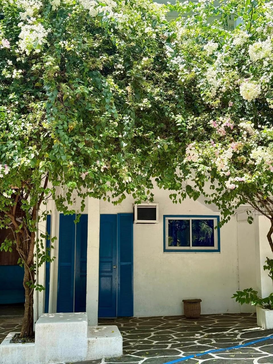 Garden view