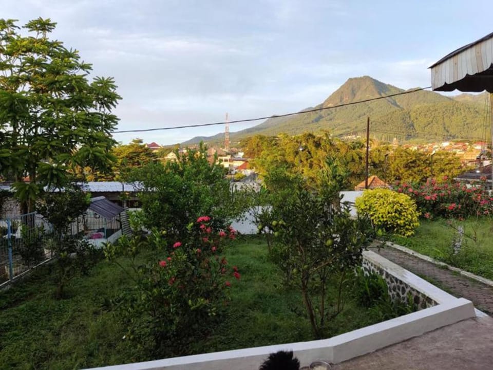Natural landscape, Inner courtyard view