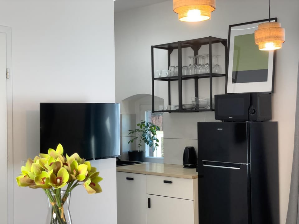 URBAN APARTMENTS Premium No 12A - Balcony - Free Parking Apartment in Poland