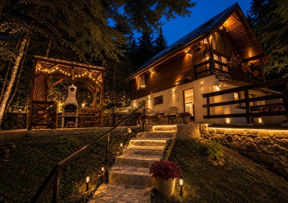 Wild House Chalet in Sinaia