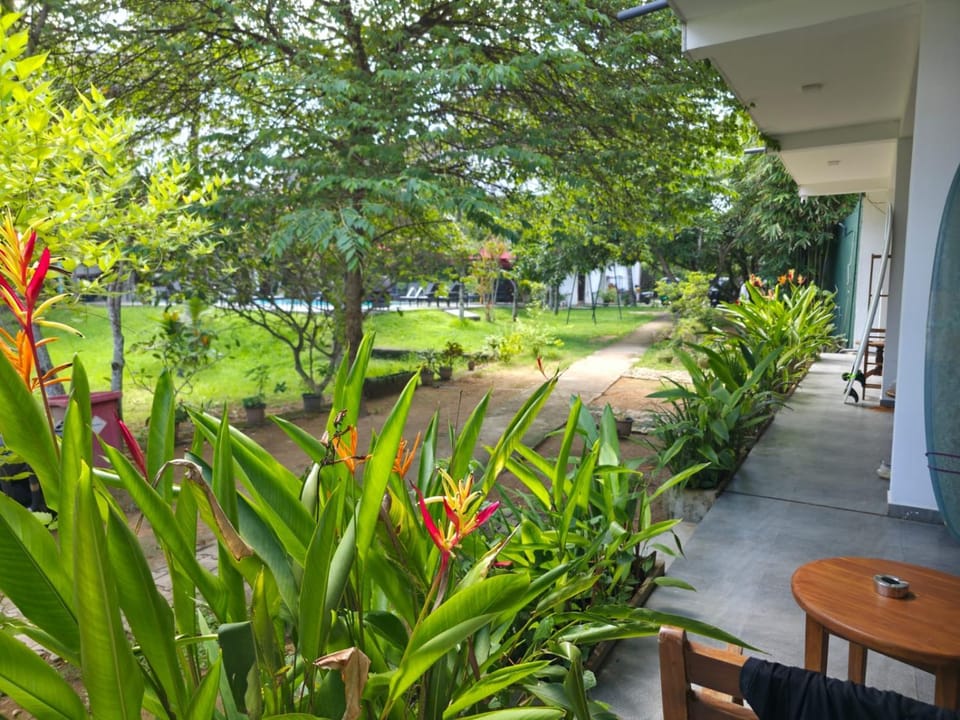 Garden, Garden view