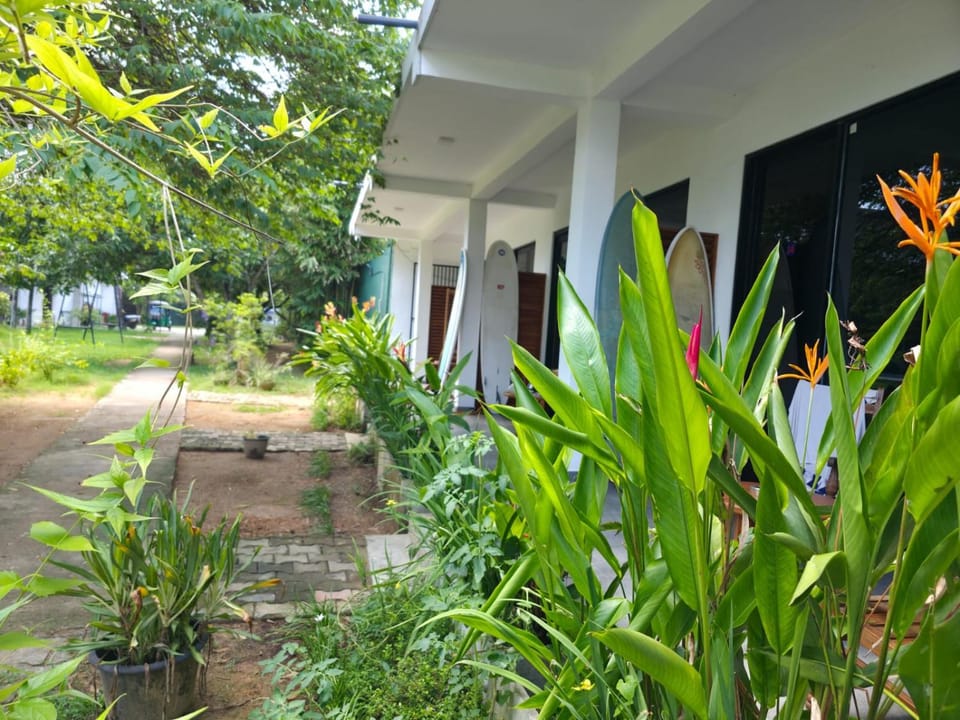 Garden view