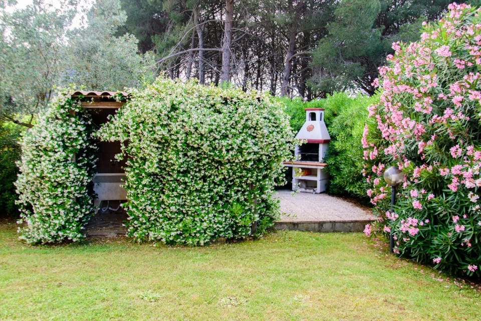 BBQ facilities, Garden, Garden view