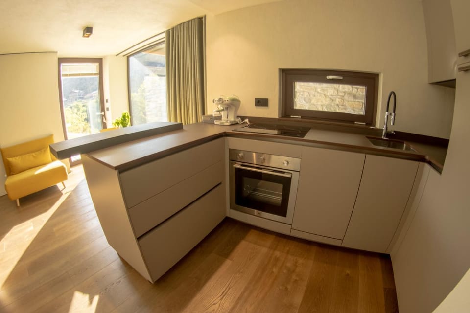 Kitchen or kitchenette, dishwasher, stove