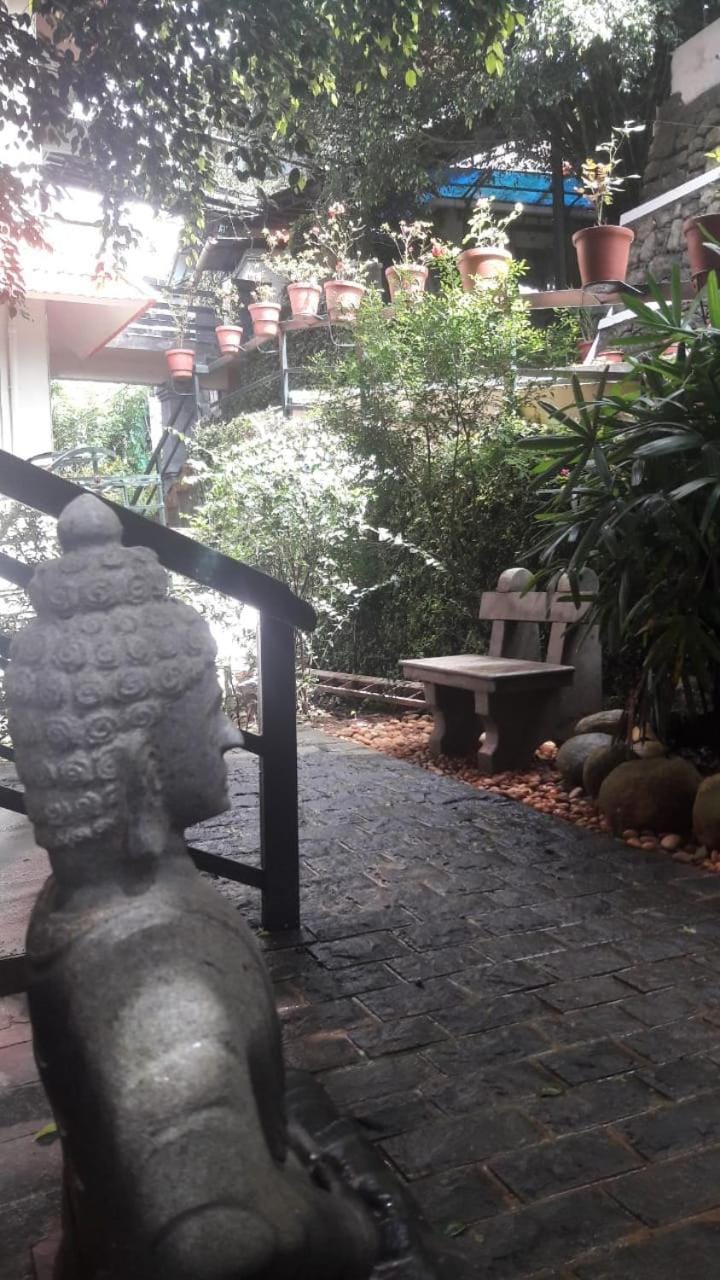 Property building, Garden
