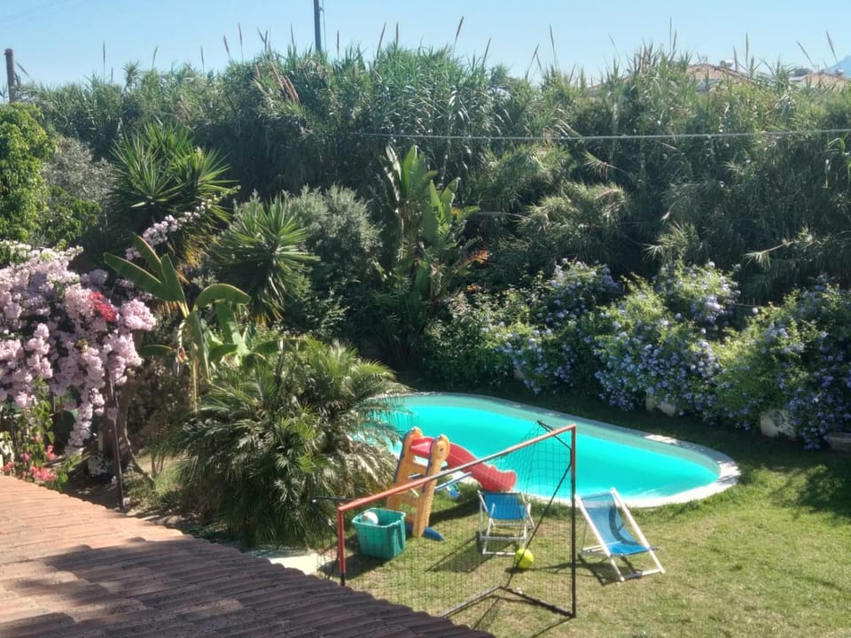 Day, Garden, Swimming pool