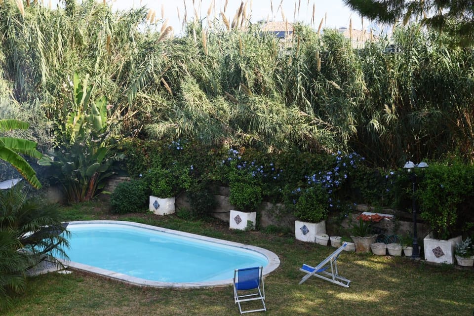 Garden, Garden view, Pool view, Swimming pool, sunbed