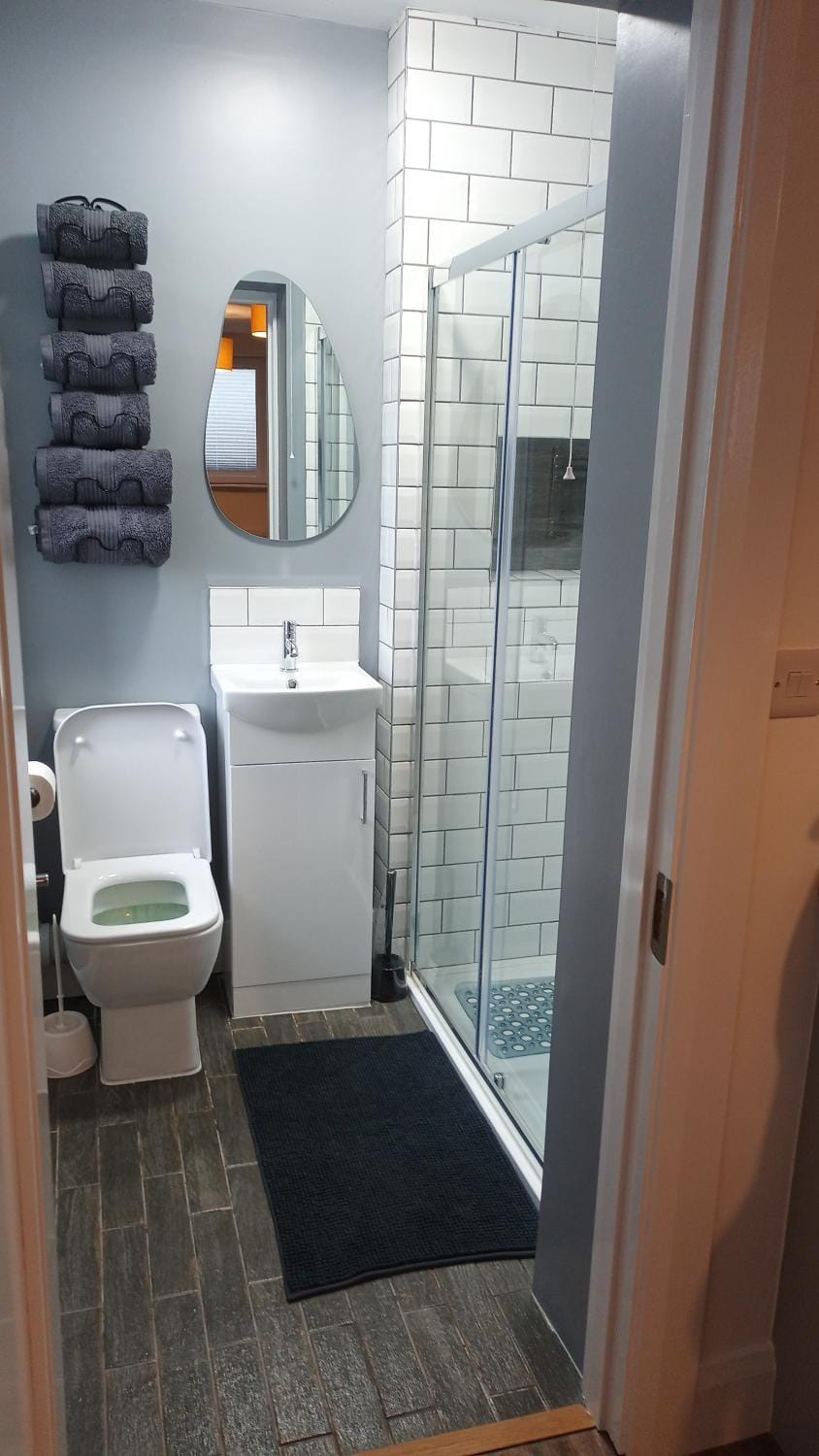 Shower, Toilet, Bathroom, towels
