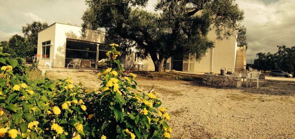 B&B Finestre Tra Gli Ulivi Bed and Breakfast in Province of Taranto