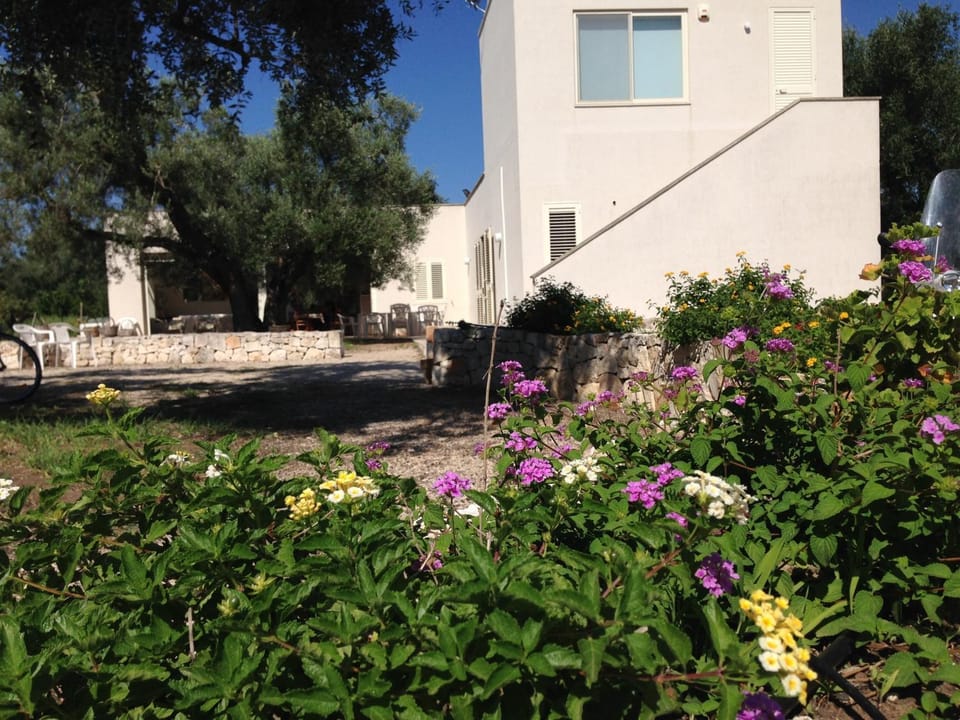 B&B Finestre Tra Gli Ulivi Bed and Breakfast in Province of Taranto