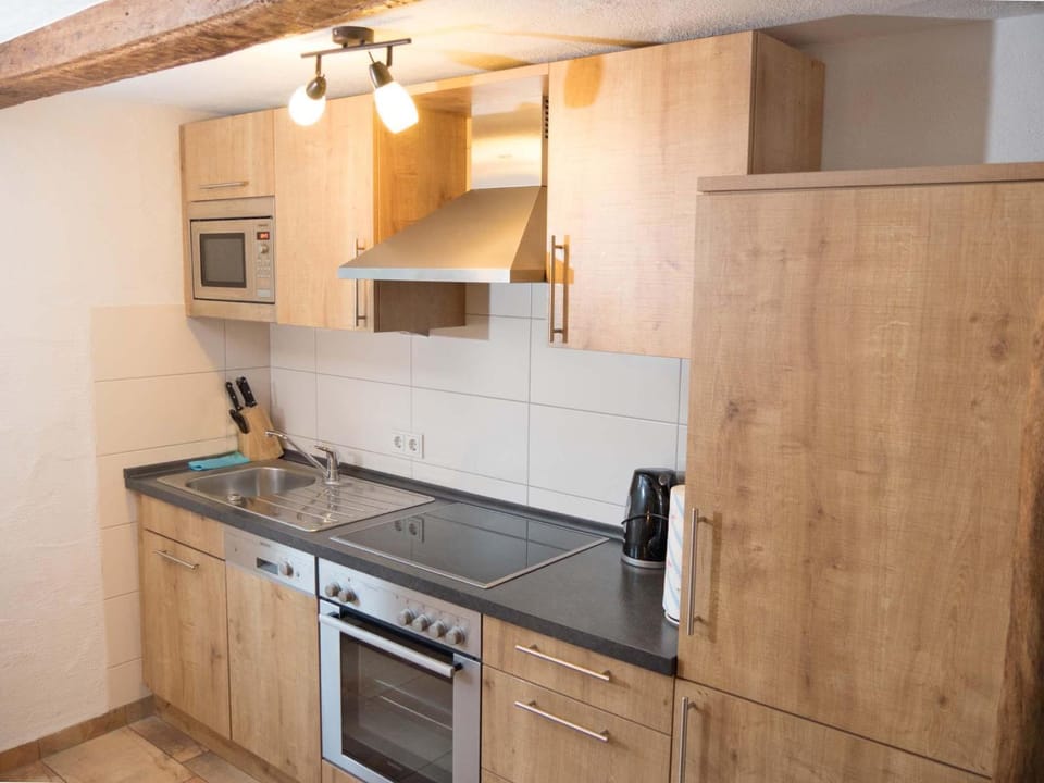 Kitchen or kitchenette, dishwasher, minibar, pet friendly, stove