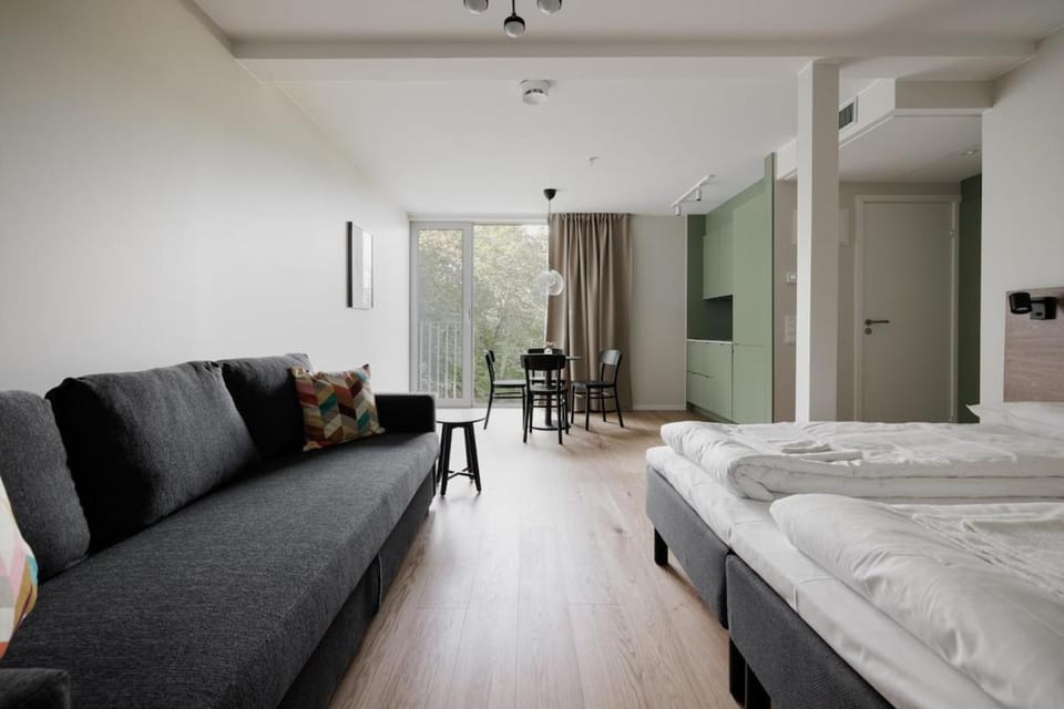Modern Studios within Ancient Ruins Apartment in Stockholm