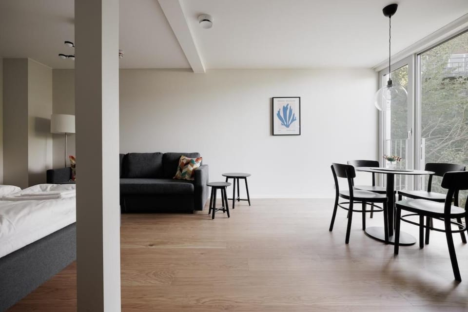 Modern Studios within Ancient Ruins Apartment in Stockholm
