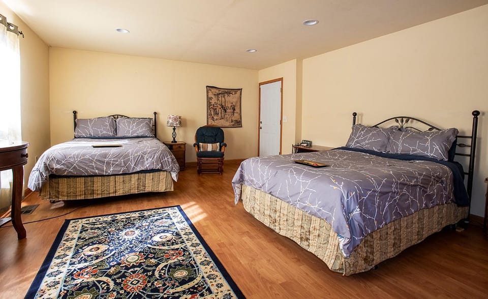 Bed, Photo of the whole room, Bedroom