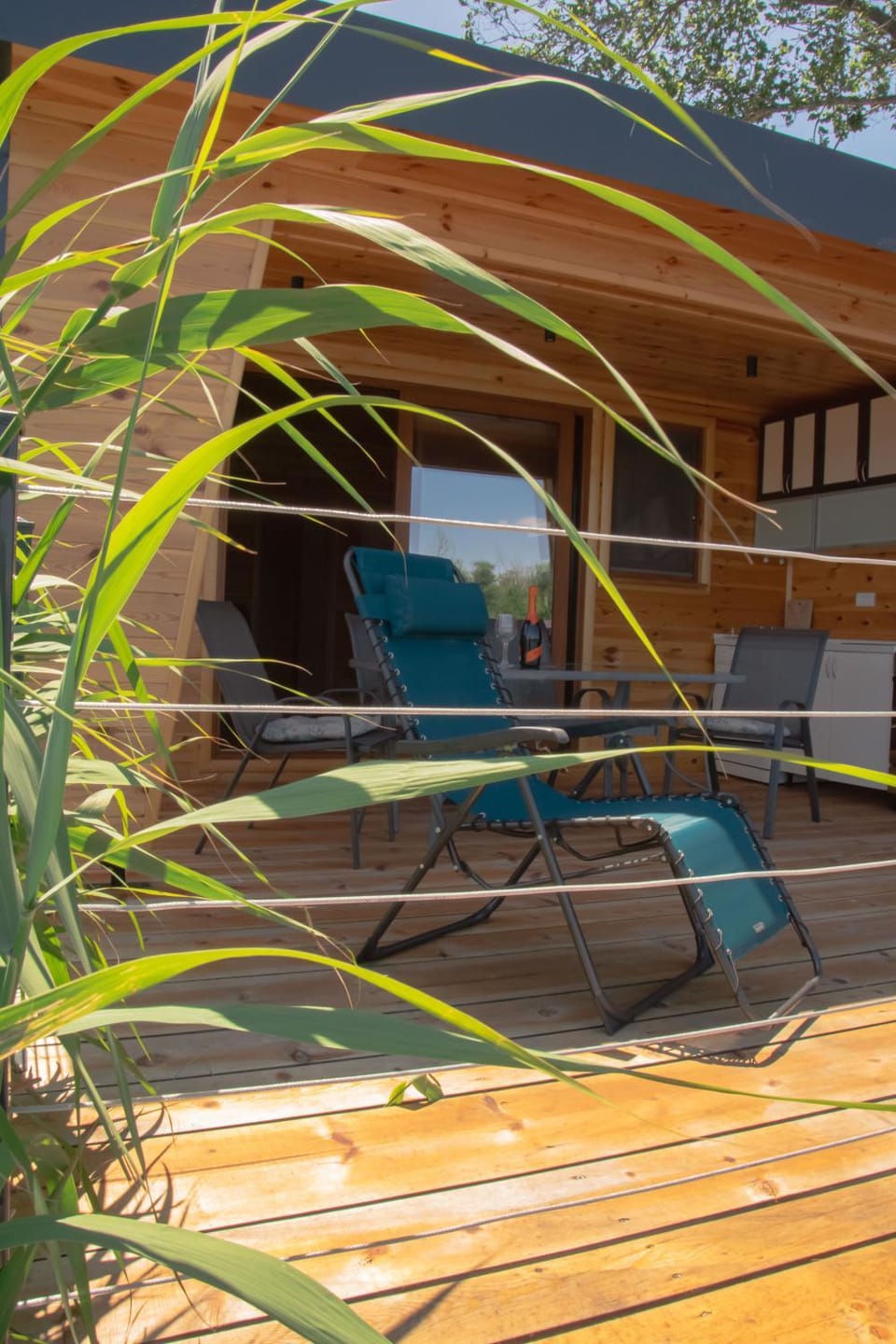 Balcony/Terrace, Kitchen or kitchenette