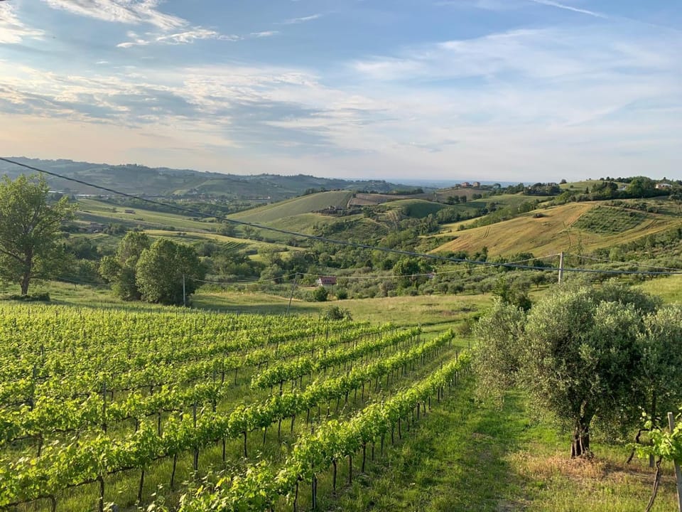 Palazzo Gessi Room and Breakfast Bed and Breakfast in Emilia-Romagna
