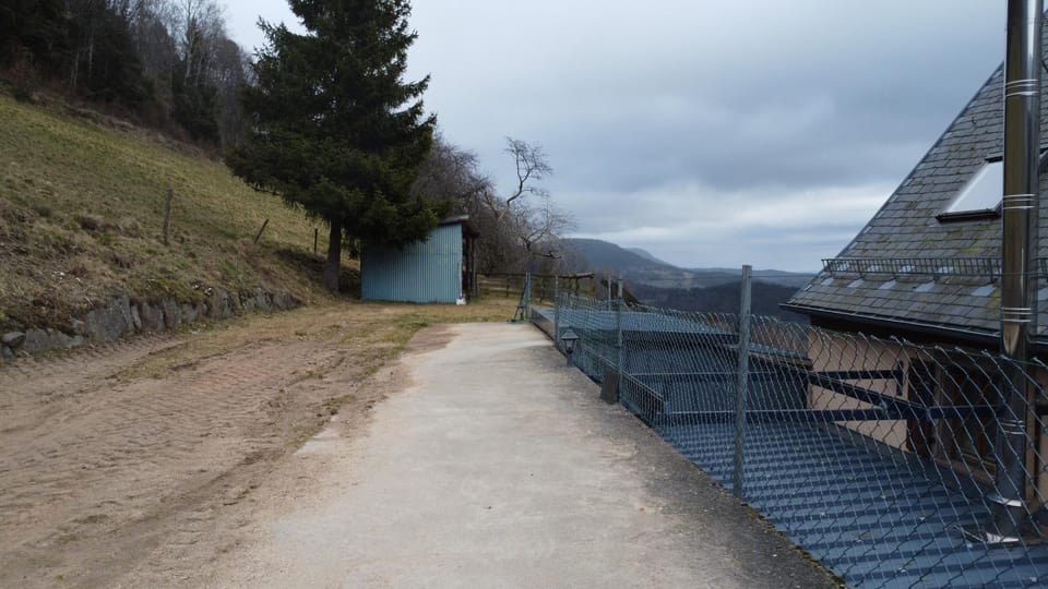 Le Refuge Rustique. (accepte les animaux) Apartment in Vosges