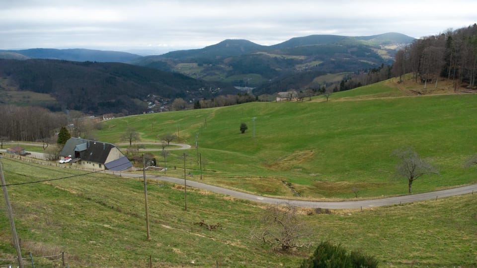La ferme au gîte. (accepte les animaux) Apartment in Vosges