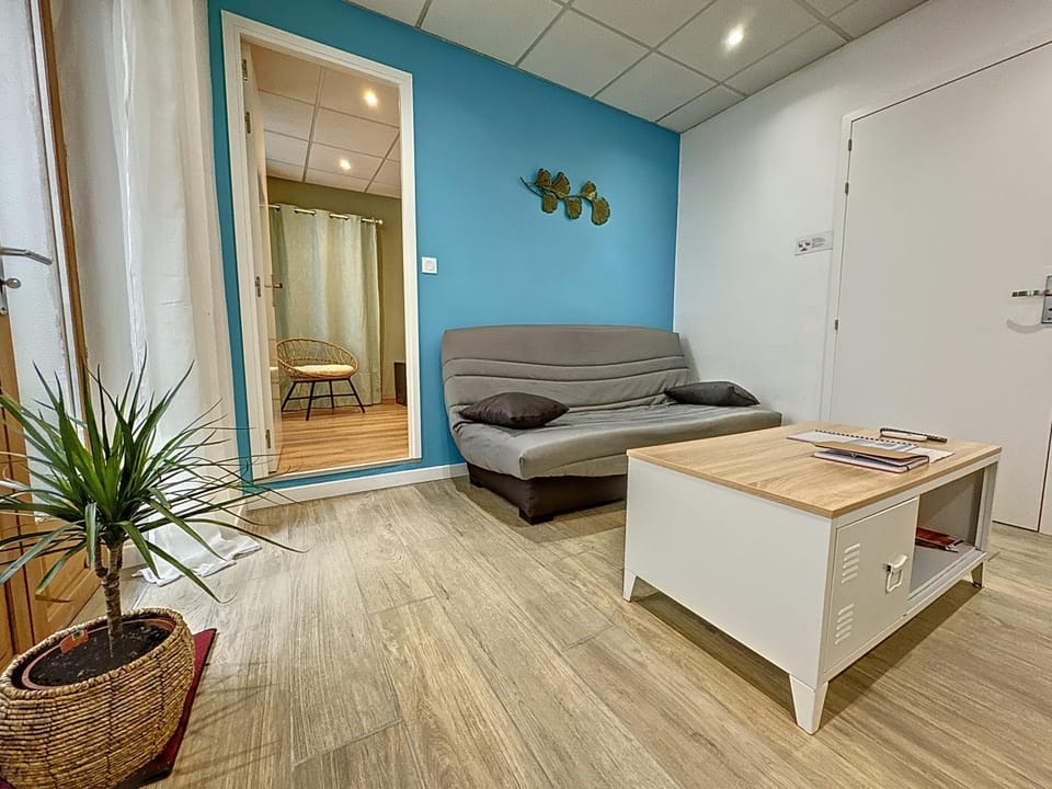 Quai 36 parking et wifi Apartment in Occitanie