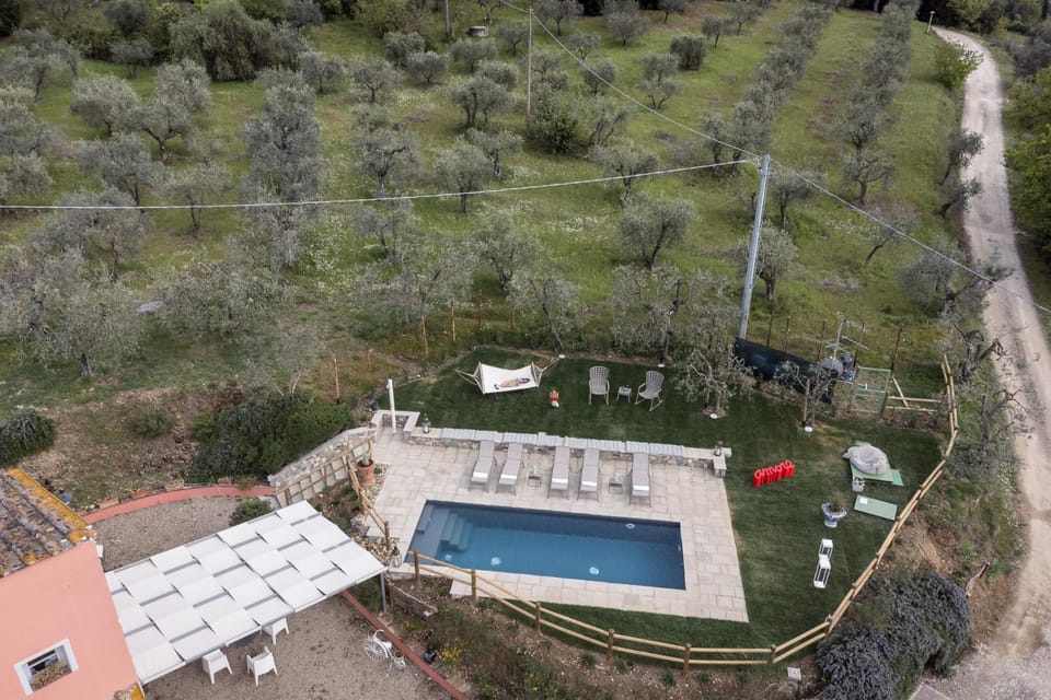 Spring, Bird's eye view, Garden, Garden view, Pool view