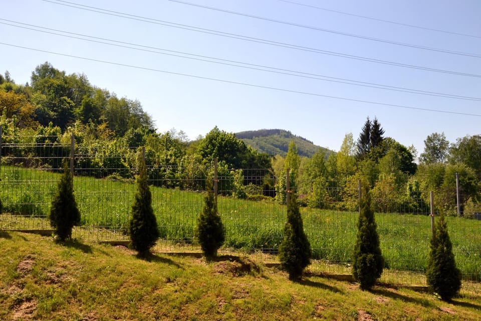 Mountain view