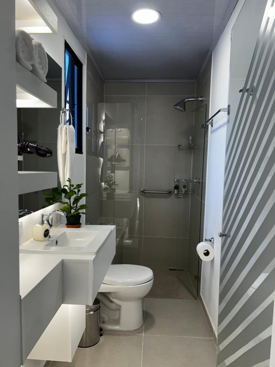 Shower, Toilet, Bathroom, towels