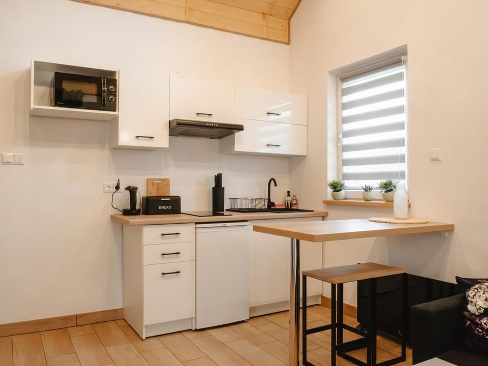 Kitchen or kitchenette, dishwasher, minibar, stove