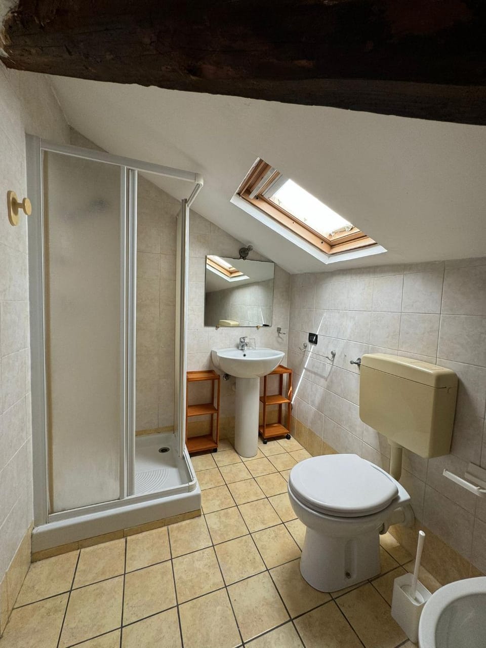 Shower, Toilet, Bathroom, bidet