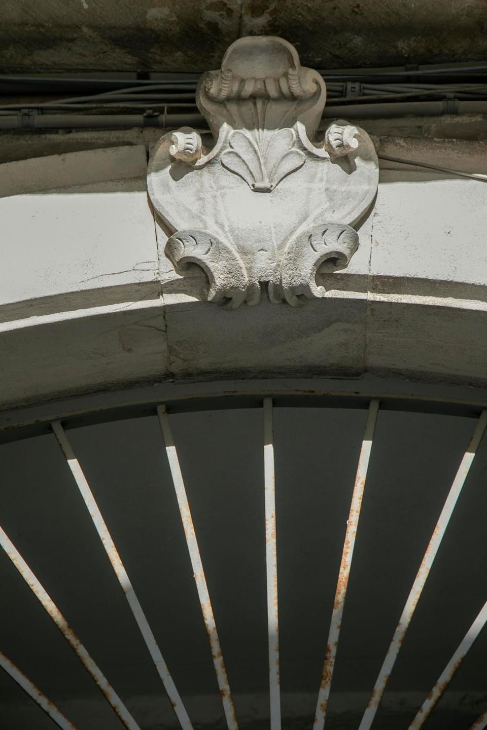 Dimora cAmelia Apartment in Province of Foggia