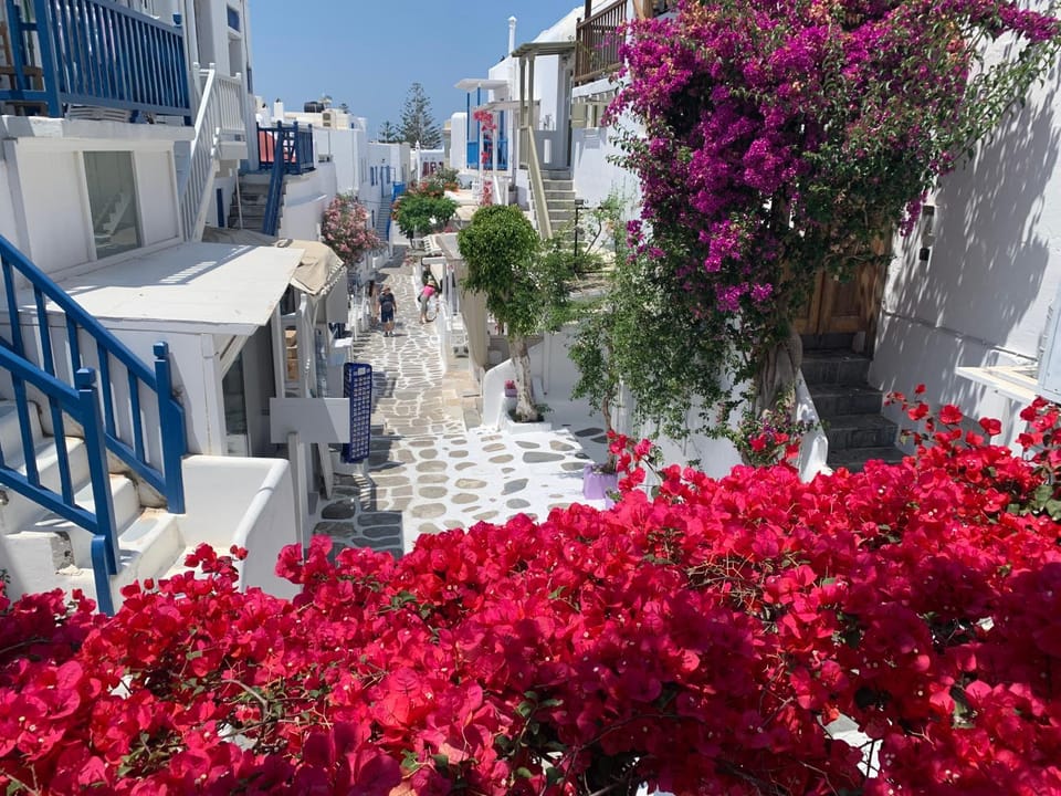 Neighbourhood, City view