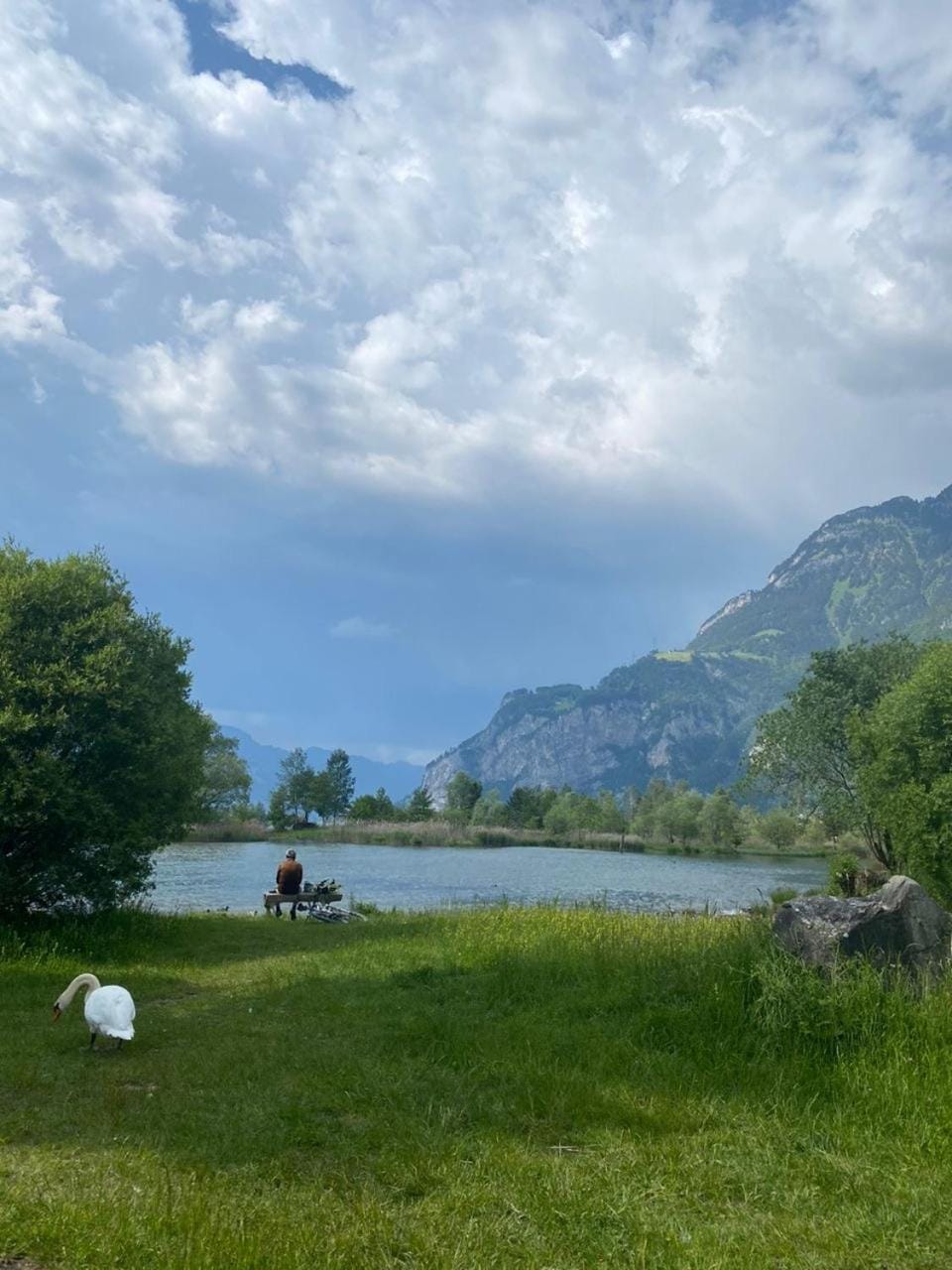Lake view