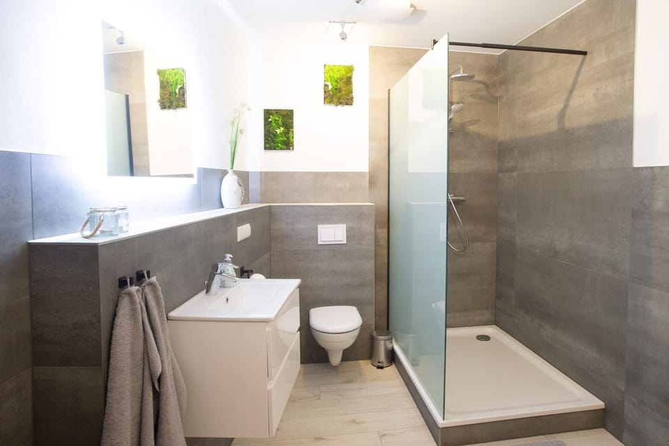 Shower, Toilet, Bathroom, towels