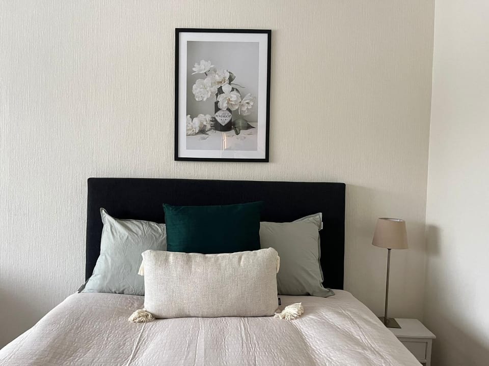 Viihtyisä ja valoisa yksiö keskustan läheisyydessä Apartment in Finland