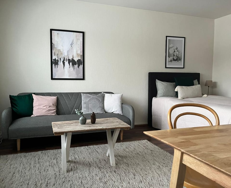 Viihtyisä ja valoisa yksiö keskustan läheisyydessä Apartment in Finland