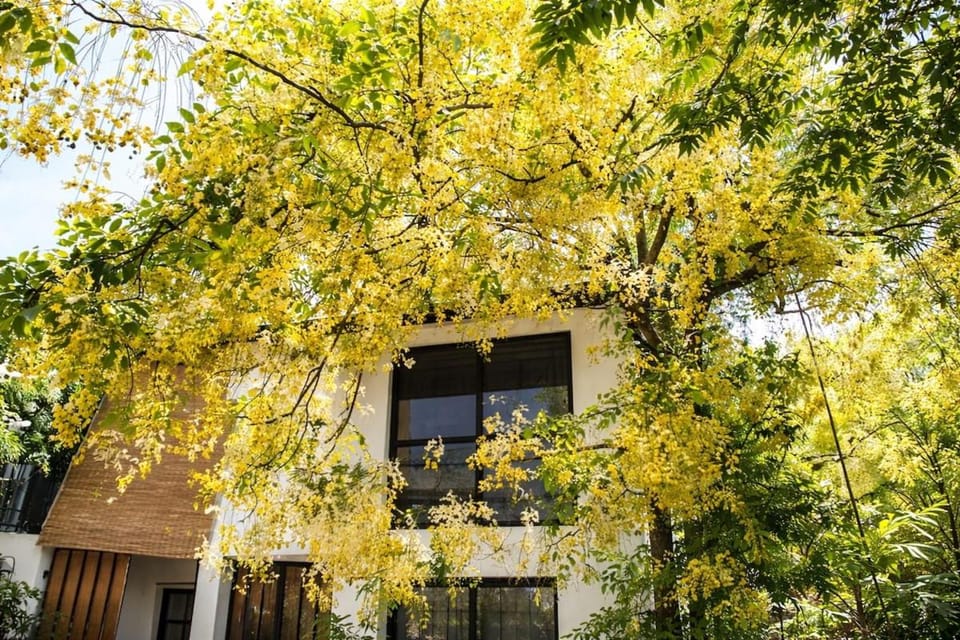 Property building, Natural landscape
