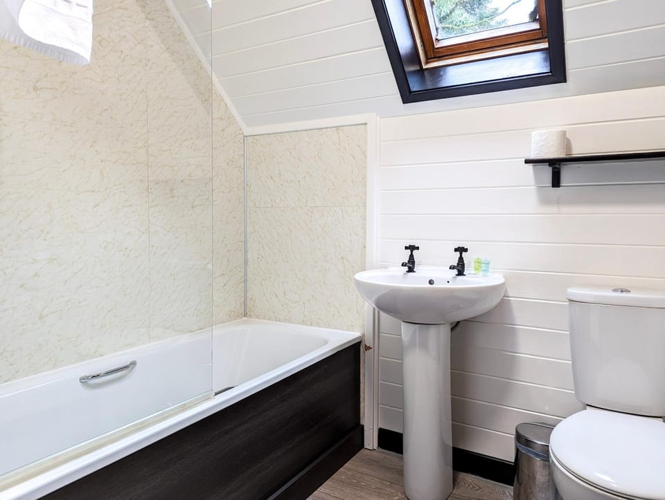 Shower, Toilet, Bathroom, Bath