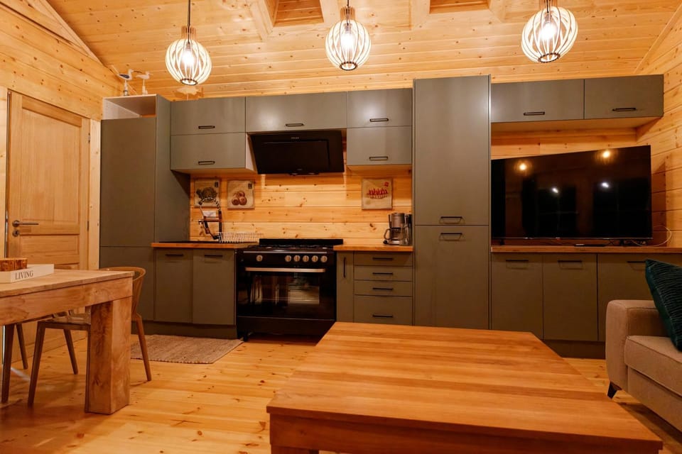 TV and multimedia, Kitchen or kitchenette, Living room, Dining area, pet friendly, stove