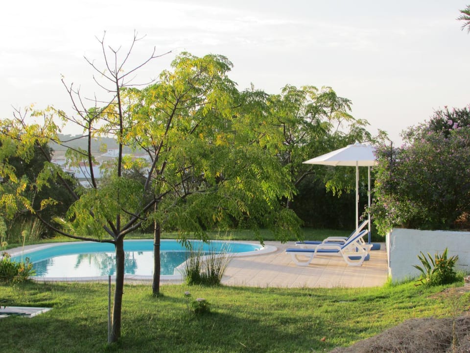 Garden, Swimming pool