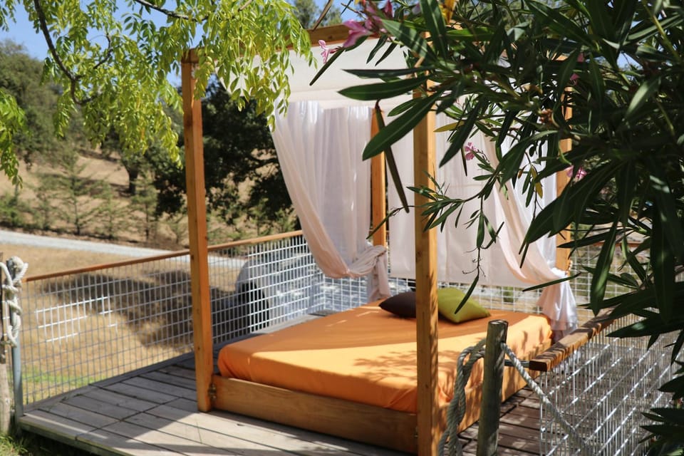 Garden, Lounge or bar, Swimming pool