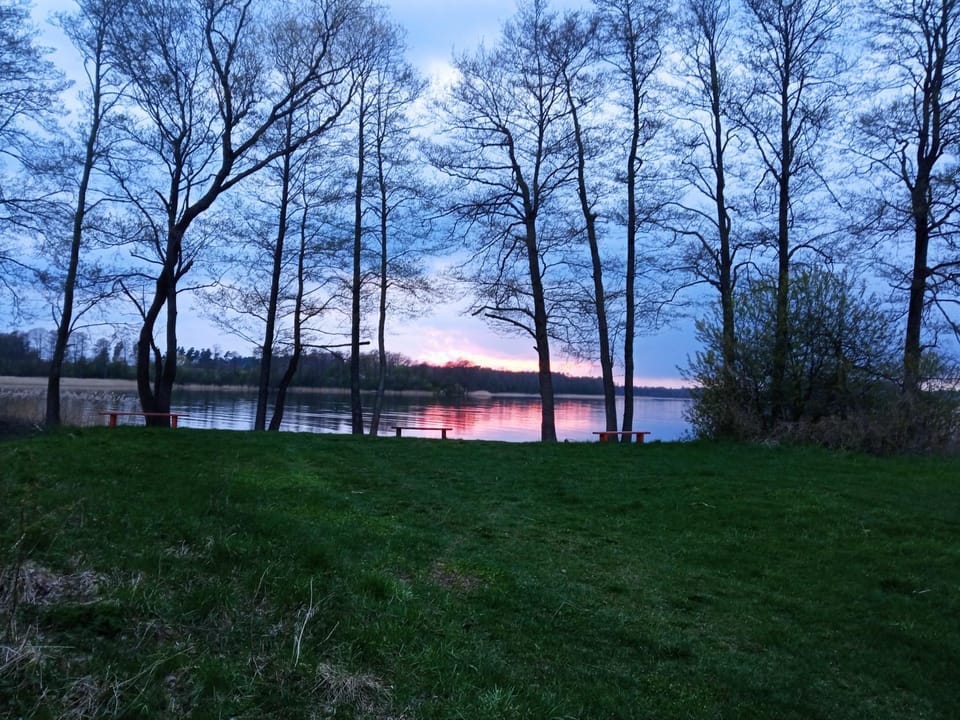 Lake view