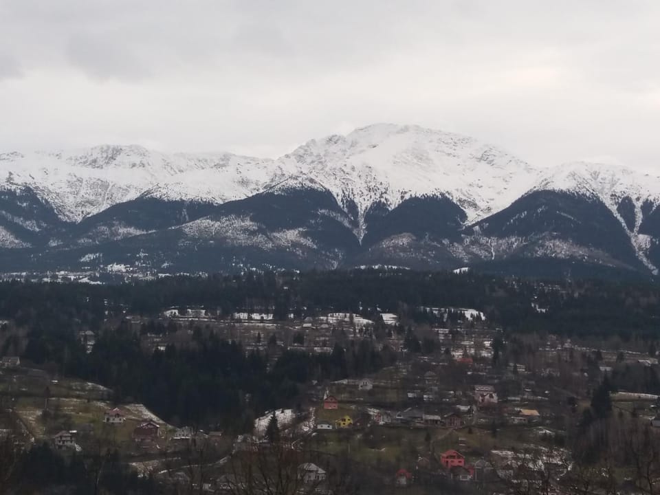 Natural landscape
