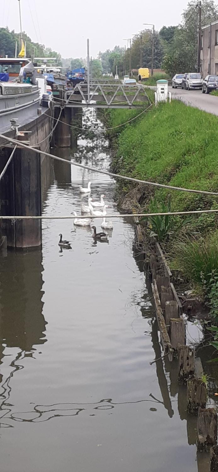 Péniche à Béthune Docked boat in Béthune