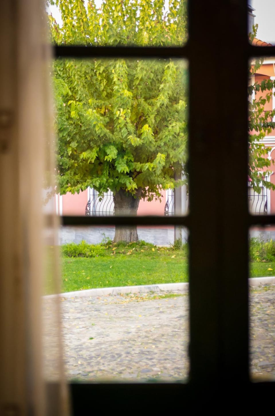 Garden view, Street view